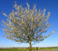 /album/fotogalerie/bildstoff-463-jpg2/